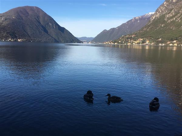 Grote foto huur een 5 persoons chalet vakantie italie