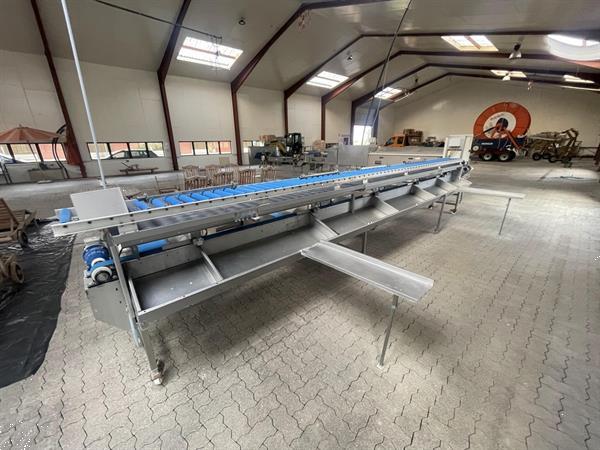 Grote foto christiaens dikte sorteermachine met wasser en kantelaar voor asperges agrarisch tuinbouw