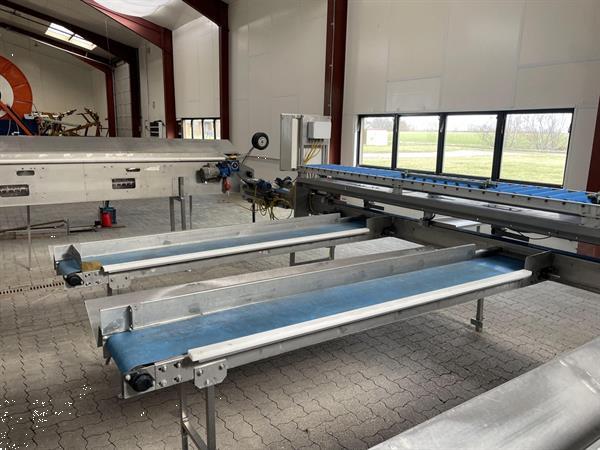 Grote foto christiaens dikte sorteermachine met wasser en kantelaar voor asperges agrarisch tuinbouw