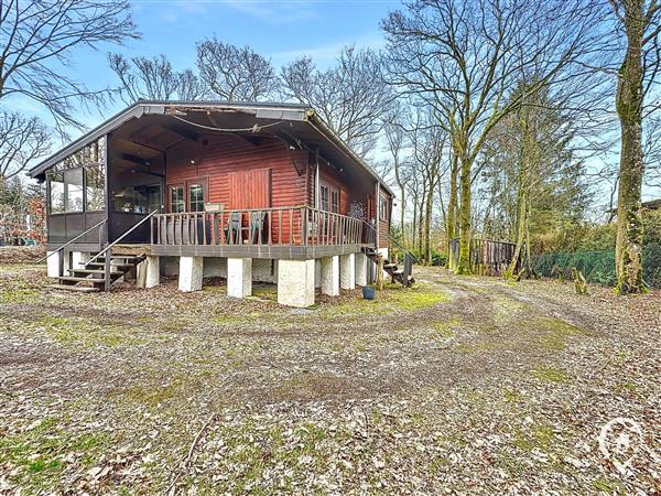 Grote foto hogne vos agences vastgoed in de ardennen huizen en kamers bestaand europa