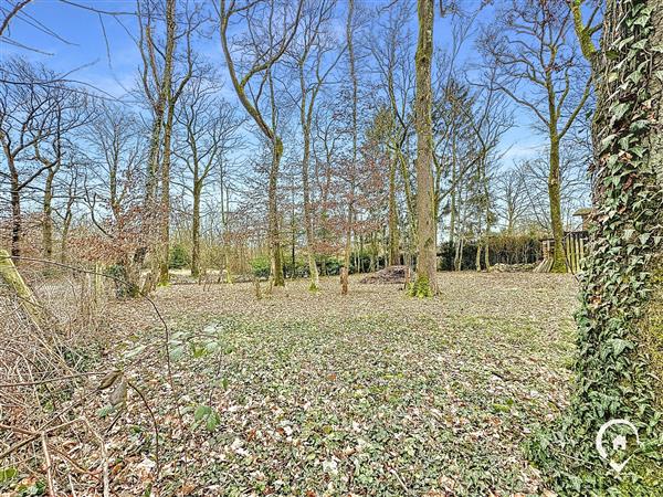 Grote foto hogne vos agences vastgoed in de ardennen huizen en kamers bestaand europa