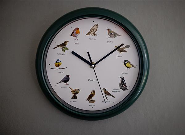 Grote foto nexxt vogelklok 25 cm donkergroen klok met vogelgeluiden elk uur huis en inrichting woningdecoratie