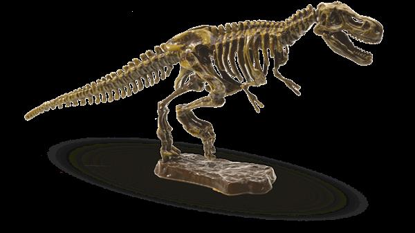 Grote foto ses bikken dino skelet t rex kinderen en baby overige