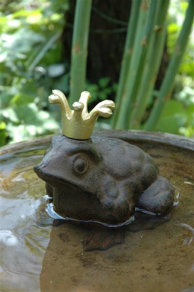 Grote foto kikkerkoning met gouden kroon klein gietijzer tt10 tuin en terras tuindecoratie