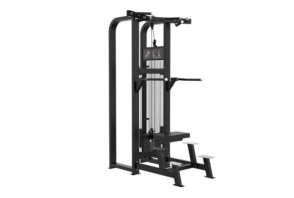 Grote foto c19 gymfit assisted chin up dip custom line nieuw sport en fitness fitness