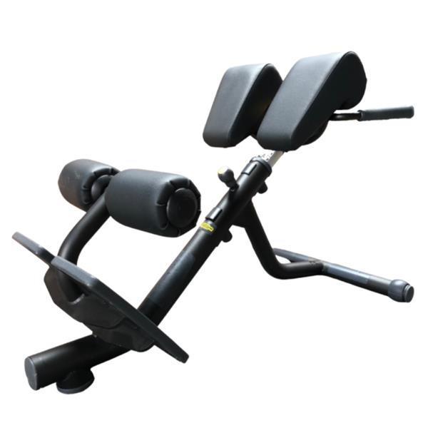 Grote foto technogym lower back bench hyper extension back extension sport en fitness fitness