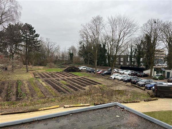 Grote foto te huur kantoorruimte bredestraat 170 nijmegen huizen en kamers bedrijfspanden