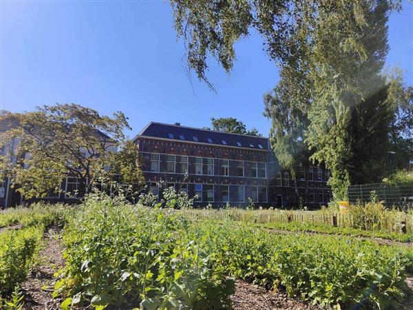 Grote foto te huur kantoorruimte bredestraat 170 nijmegen huizen en kamers bedrijfspanden