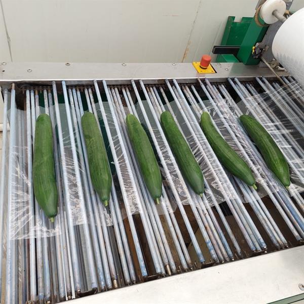 Grote foto vito seal krimpmachine voor komkommers agrarisch tuinbouw