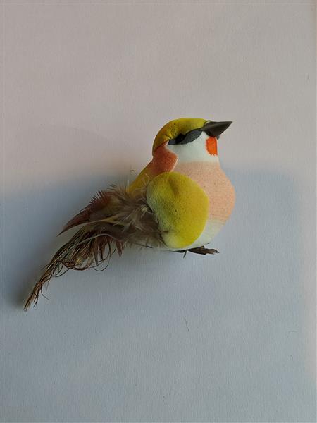 Grote foto vogeltjes geel oranjetinten op draad st mooie vogeltjes op draad verzamelen overige verzamelingen