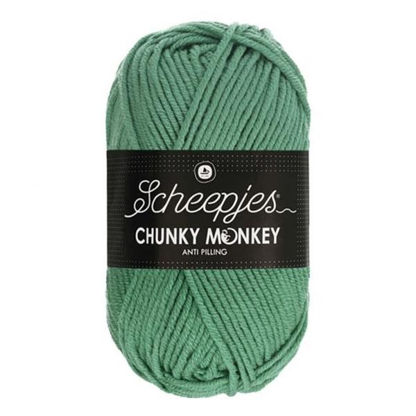 Grote foto scheepjes chunky monkey 100 gram 1725 eucalyptus verzamelen overige verzamelingen