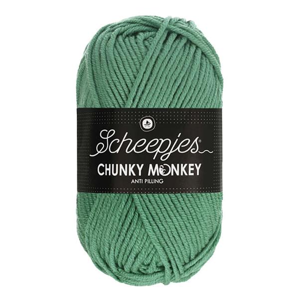 Grote foto scheepjes chunky monkey 100 gram 1725 eucalyptus verzamelen overige verzamelingen