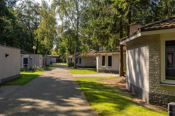 Grote foto vakantie vieren op de veluwe vakantie nederland midden