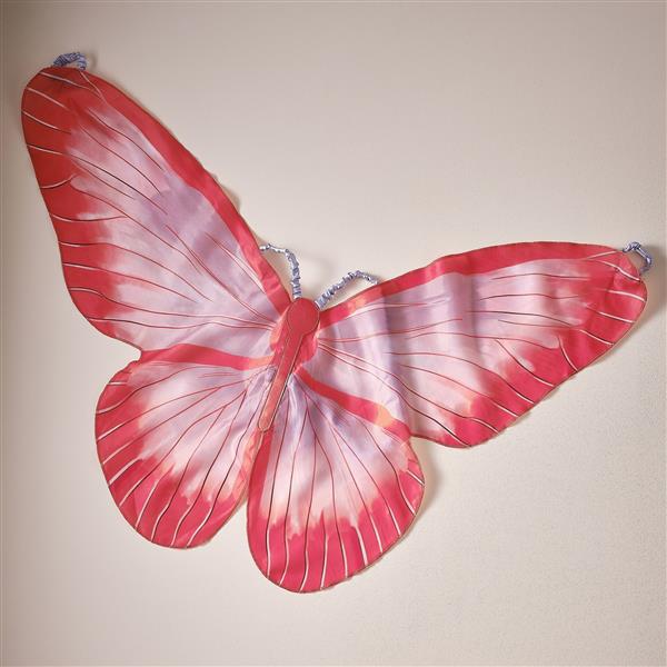 Grote foto vlinder vleugels verzamelen overige verzamelingen