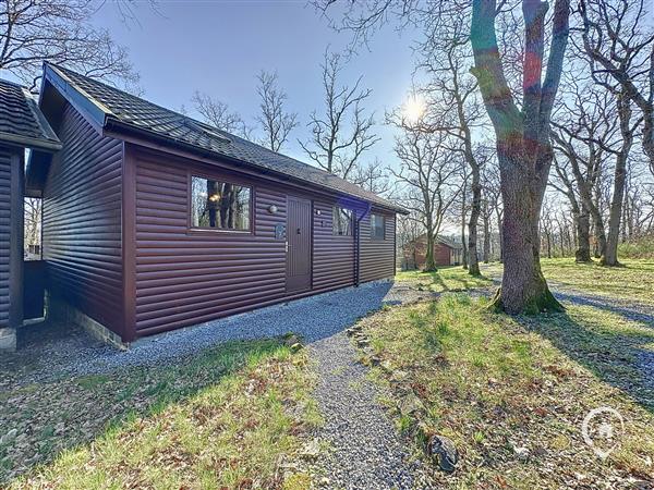 Grote foto bochetay 68 vos agences vastgoed in de ardennen huizen en kamers bestaand europa