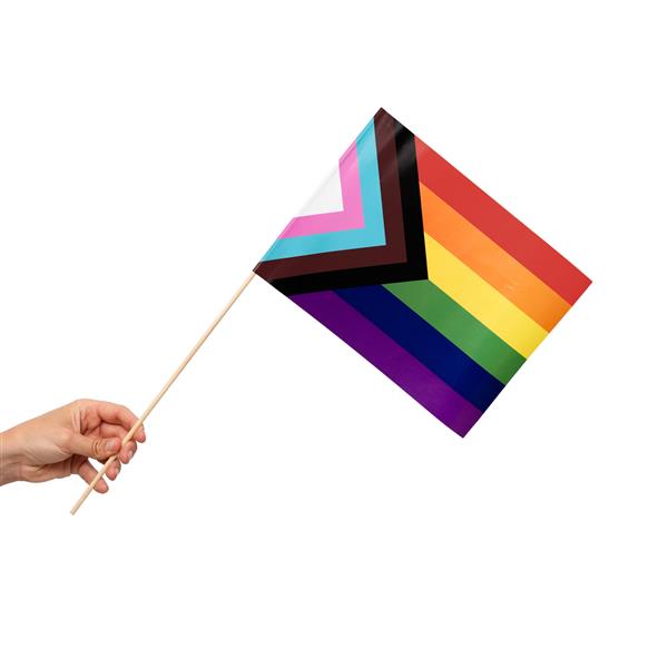 Grote foto regenboog vlag progress 10st verzamelen overige verzamelingen