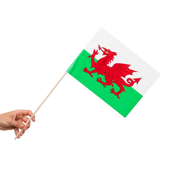 Grote foto wales vlag 10st verzamelen overige verzamelingen