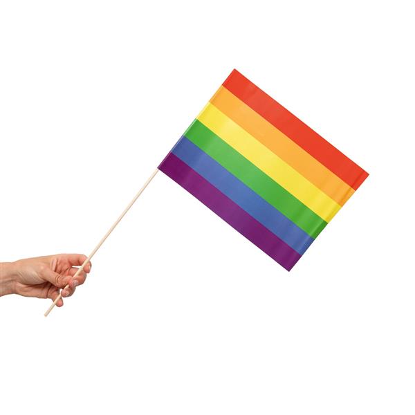 Grote foto regenboog vlag 10st verzamelen overige verzamelingen