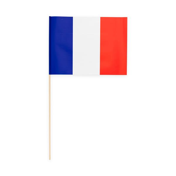 Grote foto frankrijk vlag 10st verzamelen overige verzamelingen