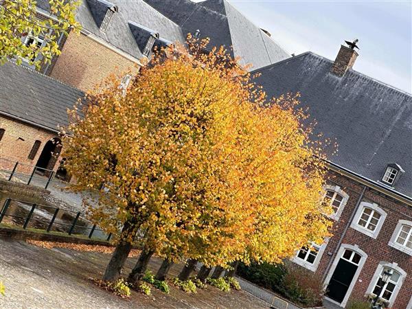 Grote foto te huur kantoorruimte heyendallaan 82 kerkrade huizen en kamers bedrijfspanden