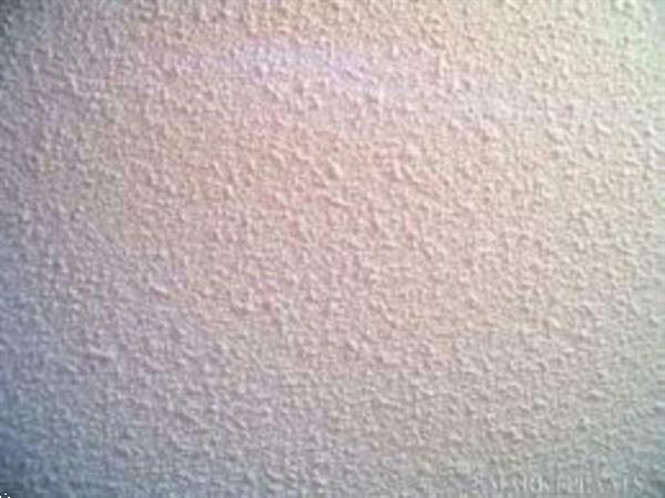 Grote foto spackspuiter de zwarte valk diensten en vakmensen stucadoors