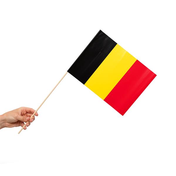 Grote foto belgie vlag 10st verzamelen overige verzamelingen