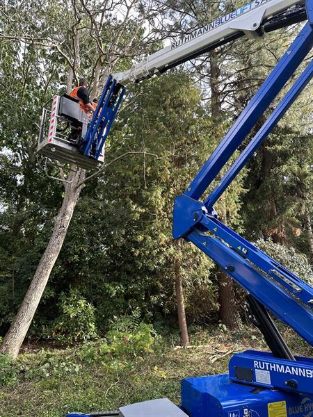 Grote foto ruthmann bluelift sa 18 hb doe het zelf en verbouw hoogwerkers
