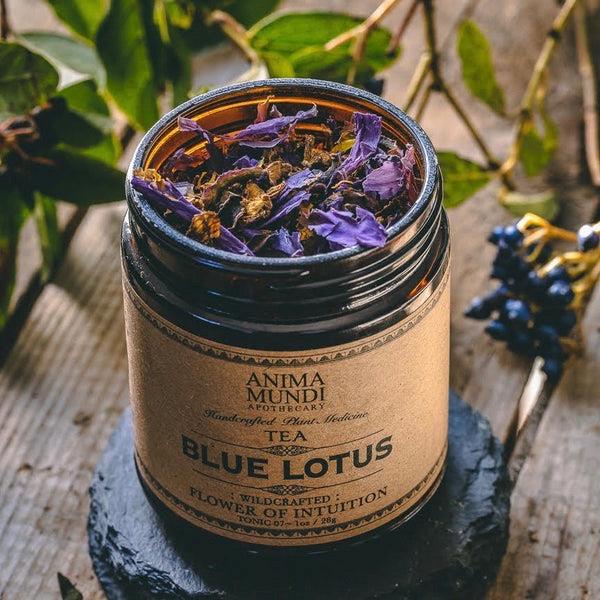 Grote foto blue lotus flower of intu tion tea beauty en gezondheid lichaamsverzorging