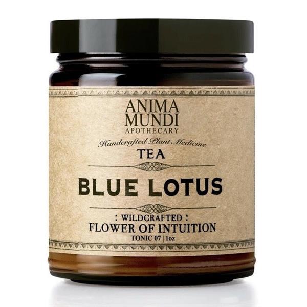Grote foto blue lotus flower of intu tion tea beauty en gezondheid lichaamsverzorging