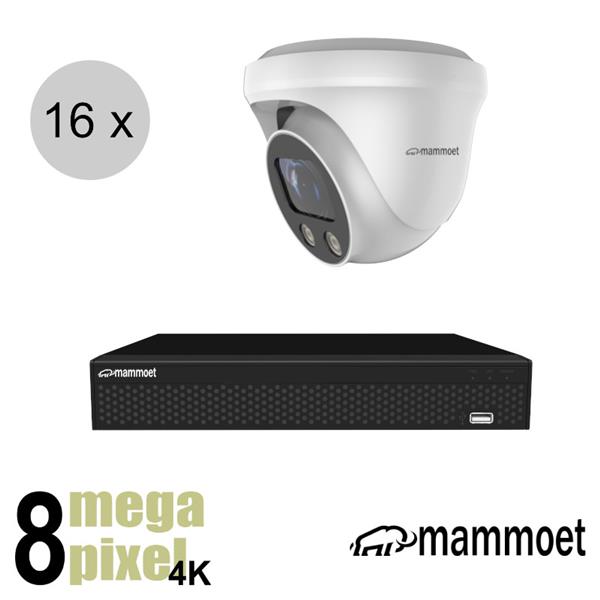 Grote foto mammoet 4k ip camerasysteem 16 turret dome camera slimme bewegingsdetectie motorzoom ips16 audio tv en foto videobewakingsapparatuur