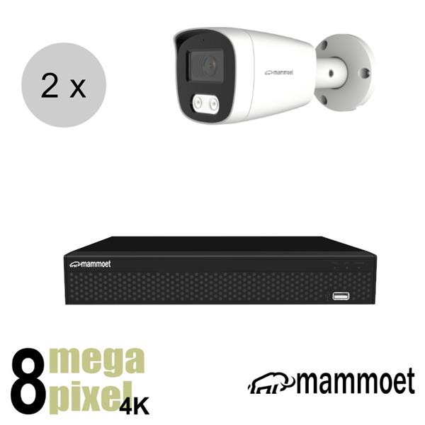 Grote foto aanbieding van 525. naar 369.95 mammoet 4k ip camerasysteem 2 camera slimme bewegingsdete audio tv en foto videobewakingsapparatuur
