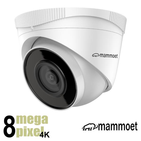 Grote foto mammoet 8 mp 4k ip dome camera 30m nachtzicht 2.8mm vaste lens onvif mamd1 audio tv en foto videobewakingsapparatuur