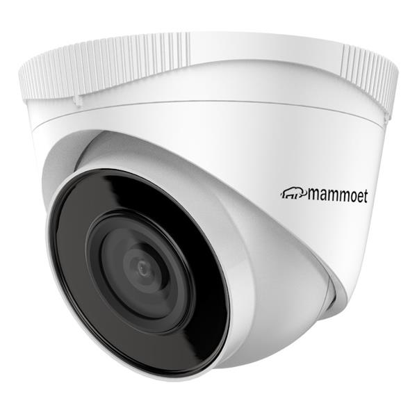 Grote foto mammoet 8 mp 4k ip dome camera 30m nachtzicht 2.8mm vaste lens onvif mamd1 audio tv en foto videobewakingsapparatuur