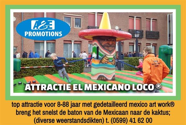 Grote foto huur mexico feest attributen palmen huren hobby en vrije tijd overige hobby en vrije tijd