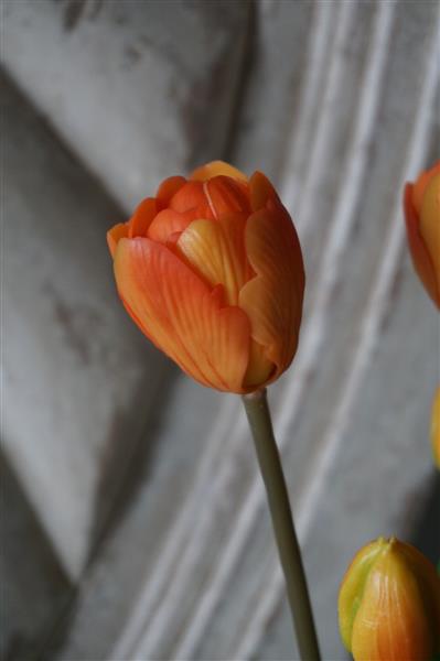 Grote foto real touch tulpen oranje 5 stuks l44 cm huis en inrichting complete badkamers