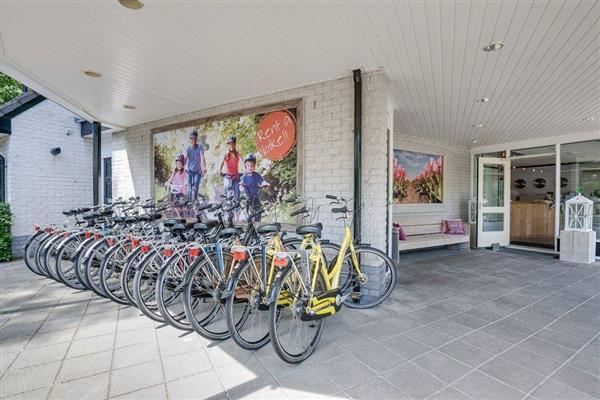 Grote foto fietsvakantie op de veluwe vakantie fietsvakanties