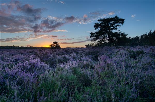 Grote foto fietsvakantie op de veluwe vakantie fietsvakanties