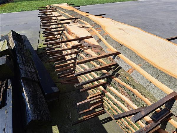 Grote foto 2 beuken stammen gezaagd 35mm dik doe het zelf en verbouw hout en planken