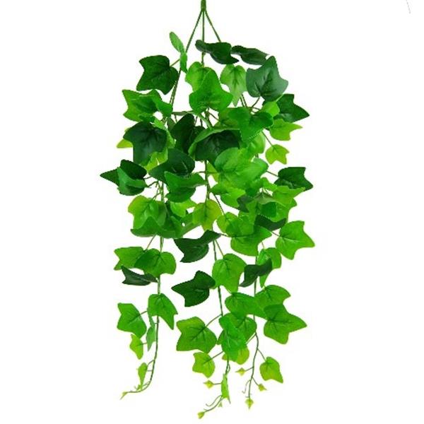 Grote foto hanger vuller hedera groene bladeren groene hangplanten verzamelen overige verzamelingen