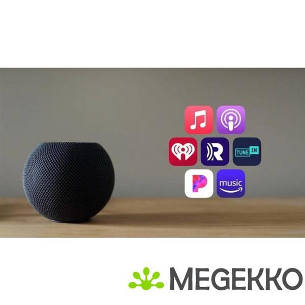 Grote foto apple homepod mini spacegrey muziek en instrumenten speakers
