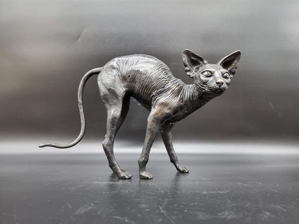 Grote foto beeld bronze sphynx cat hand crafted 21 cm brons antiek en kunst curiosa en brocante