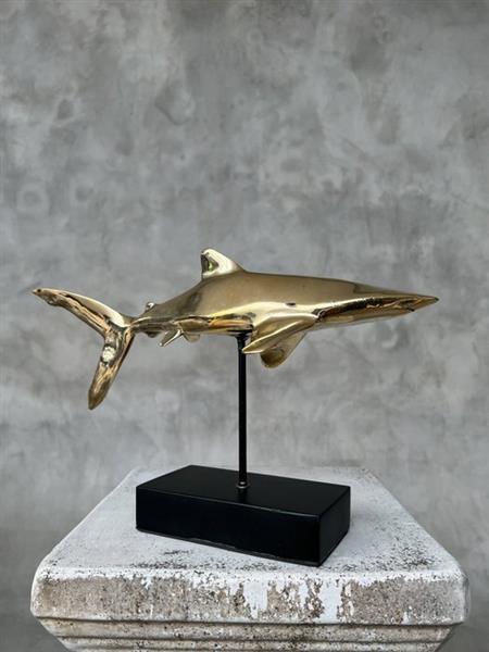 Grote foto sculptuur no reserve price bronze polished great white shark carcharodon carcharias 20 cm b antiek en kunst curiosa en brocante