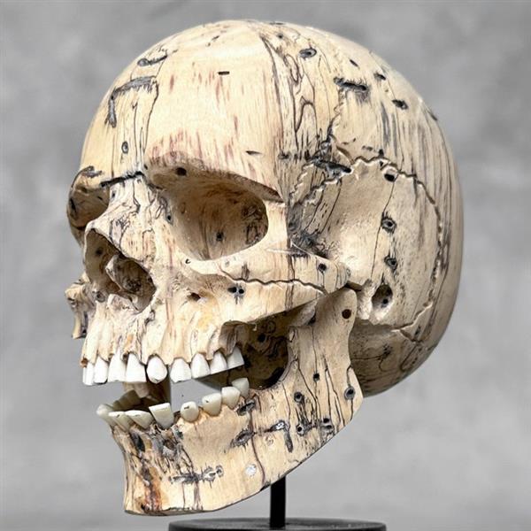 Grote foto snijwerk no reserve price stunning hand carved wooden human skull with a beautiful natural grain antiek en kunst curiosa en brocante