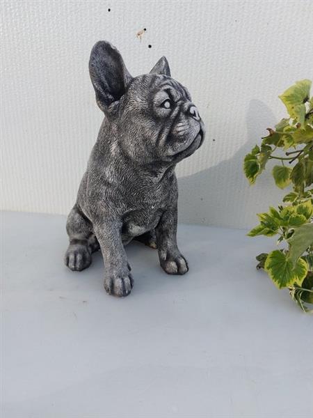 Grote foto beeld franse buldog 29 cm cast stone antiek en kunst curiosa en brocante