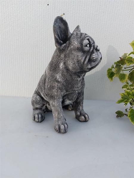 Grote foto beeld franse buldog 29 cm cast stone antiek en kunst curiosa en brocante