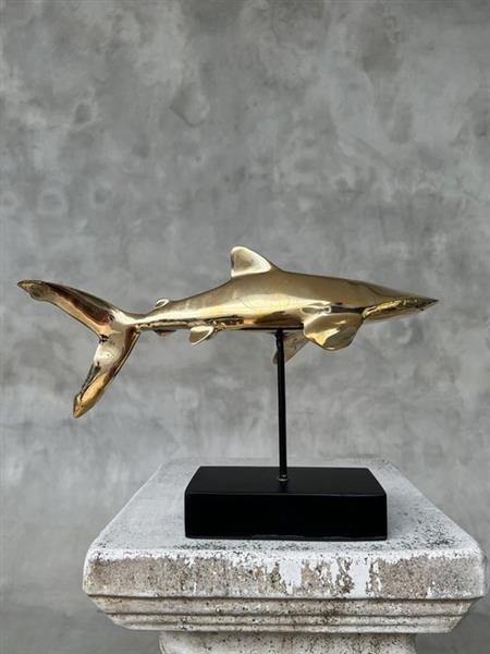 Grote foto sculptuur no reserve price bronze polished great white shark carcharodon carcharias 20 cm b antiek en kunst curiosa en brocante