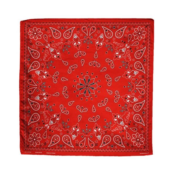 Grote foto zan headgear bandana rood paisley patroon motoren kleding