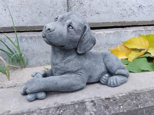 Grote foto beeld beautiful statue with fine patina dog with bone 23 cm cast stone antiek en kunst curiosa en brocante