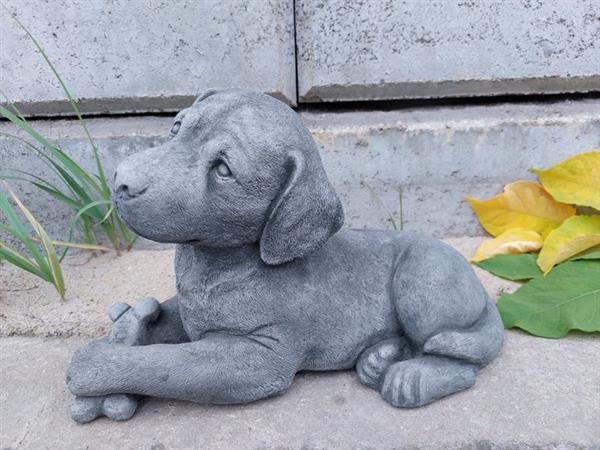 Grote foto beeld beautiful statue with fine patina dog with bone 23 cm cast stone antiek en kunst curiosa en brocante