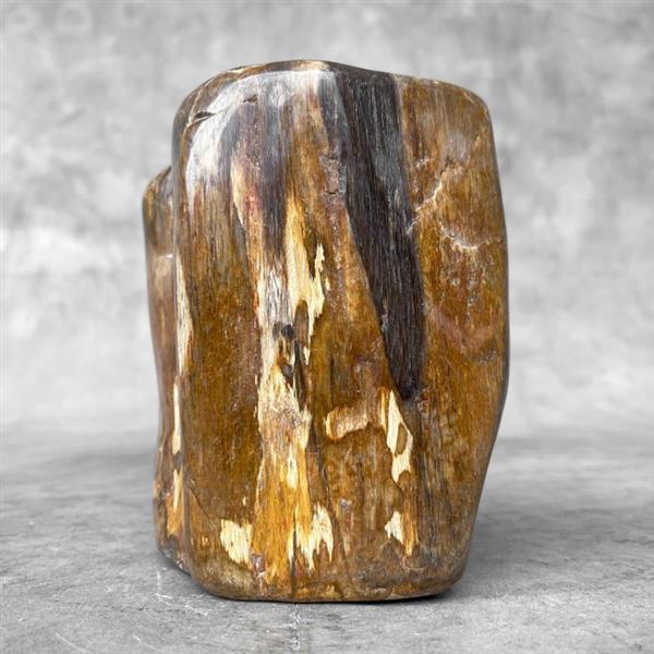 Grote foto geen minimumverkoopprijs volledig gepolijst versteend hout freeform gefossiliseerd hout petrif antiek en kunst curiosa en brocante